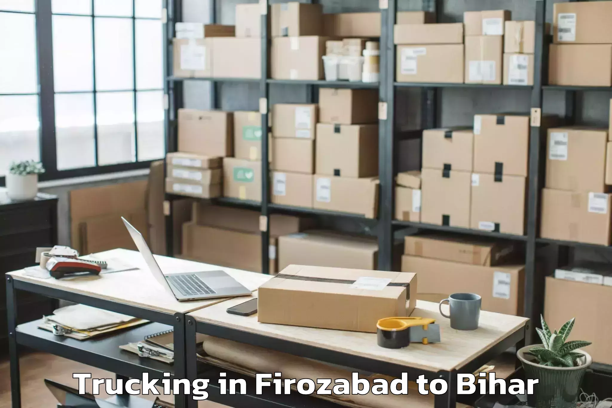 Top Firozabad to Bithan Trucking Available